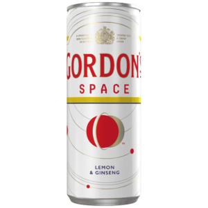 Gordon's Space 250ml